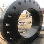 Full View of Painted Flange